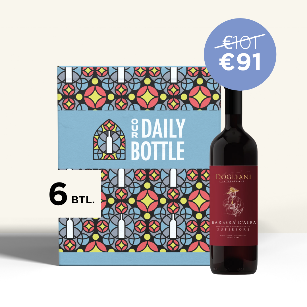 Dogliani Barbera d'Alba Superiore freeshipping - Our Daily Bottle