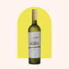 Colomé Torrontes 2020 - Our Daily Bottle