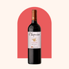 Rigal - L’Esquisse Malbec Cahors 2019 🇫🇷. - Our Daily Bottle