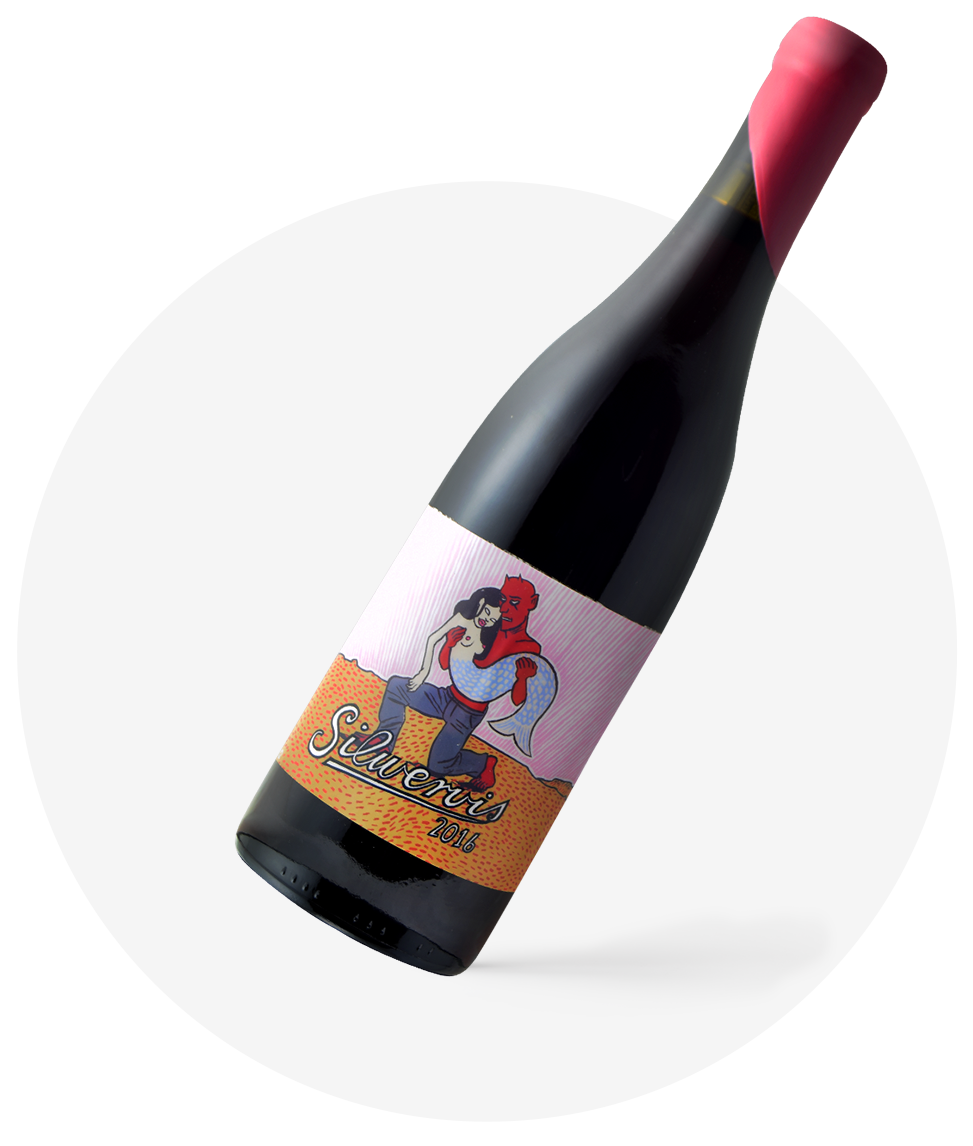 Silwervis Cinsault 2016 🇿🇦 freeshipping - Our Daily Bottle